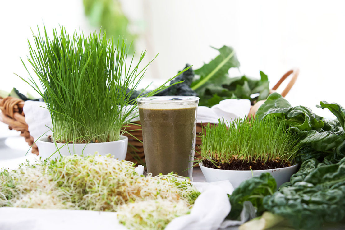 6 Steps To Revitalize Your Health With Herbs This Spring | Herbal Academy | Spring is an ideal season to start a new routine, and we have 6 steps to help you revitalize your health with herbs this spring season!