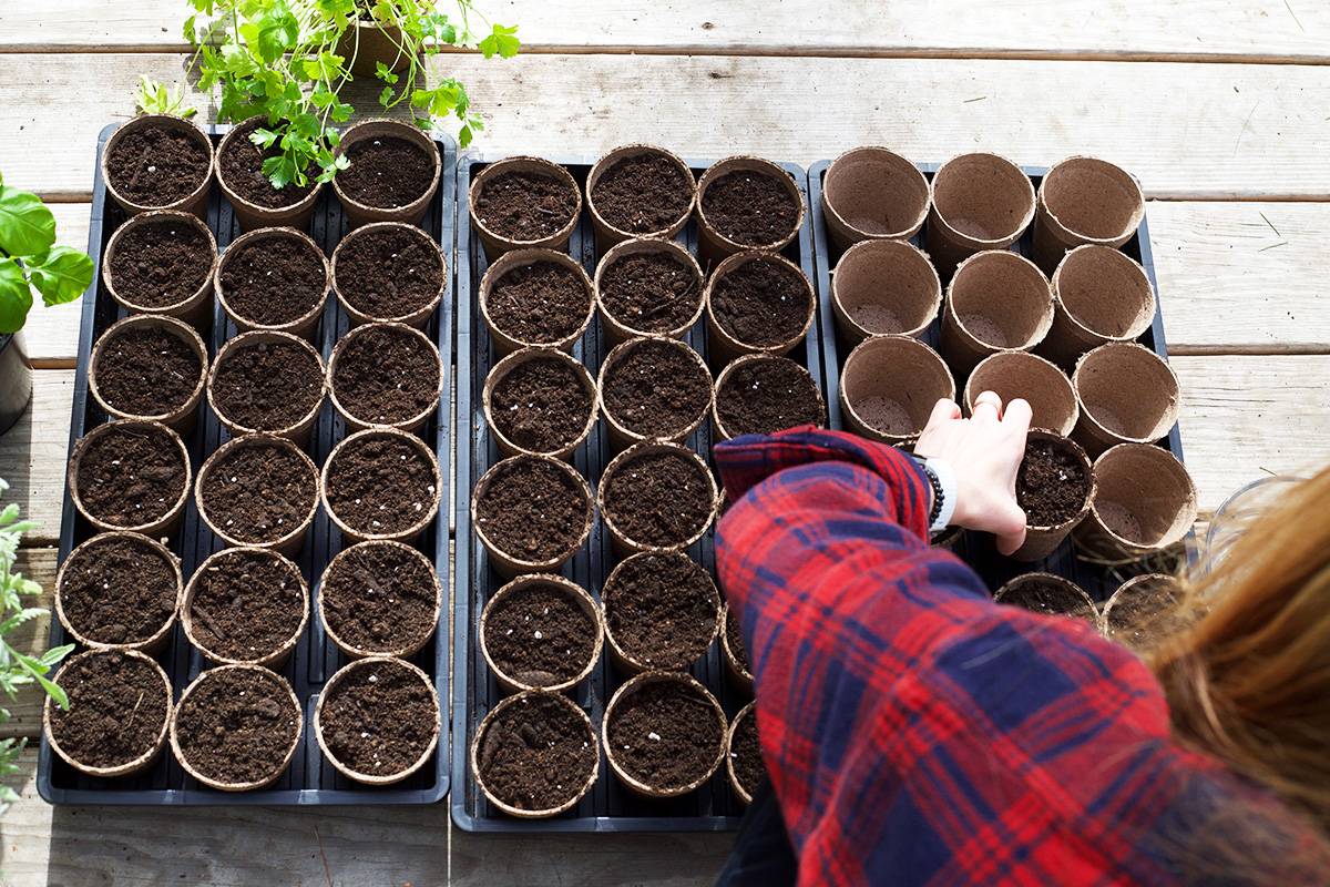 12 Permaculture Principles to Use When Planning Your Herb Garden | Herbal Academy | Permaculture principles are not just a way of growing things, they're a way of life. Here's 12 suggestions to assist you in your herb garden planning.