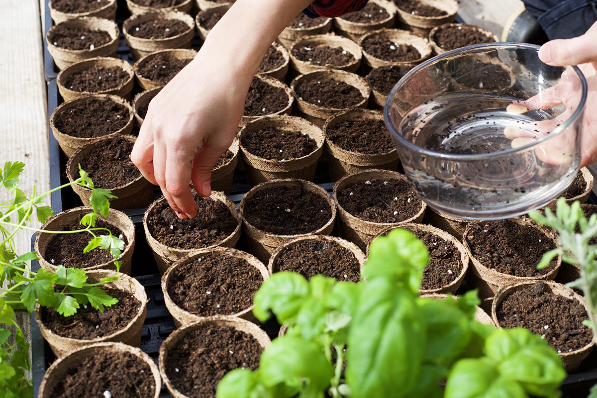 12 Permaculture Principles to Use When Planning Your Herb Garden | Herbal Academy | Permaculture principles are not just a way of growing things, they're a way of life. Here's 12 suggestions to assist you in your herb garden planning.