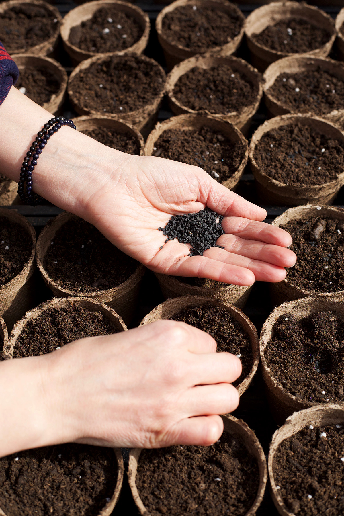 12 Permaculture Principles to Use When Planning Your Herb Garden | Herbal Academy | Permaculture principles are not just a way of growing things, they're a way of life. Here's 12 suggestions to assist you in your herb garden planning.