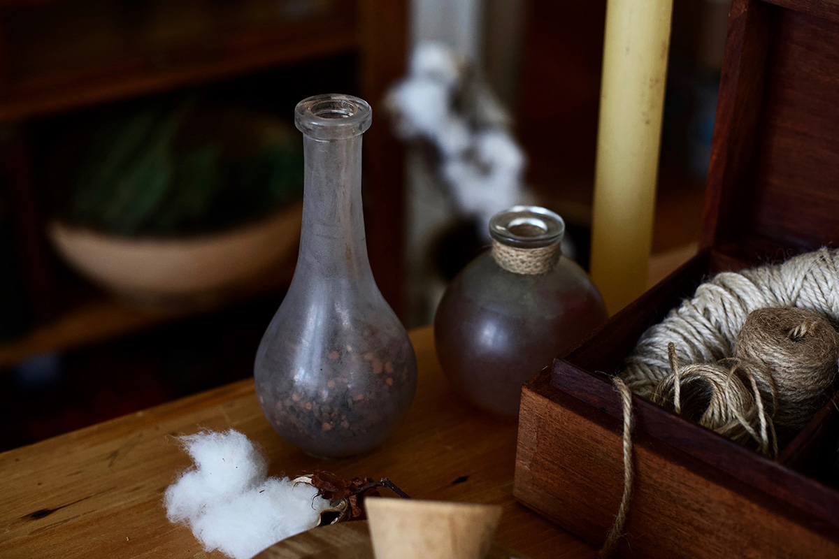 Herbalism: A History - How Herbalists Of The Past Paved The Way For Today | Herbal Academy | Have you ever wondered how modern-day herbalism came to be? Read on to discover how the history of herbalism paved the way for today.