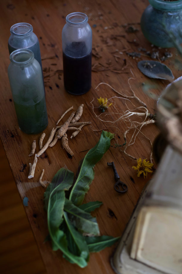 Herbalism A History How Herbalists Of The Past Paved The Way For Today