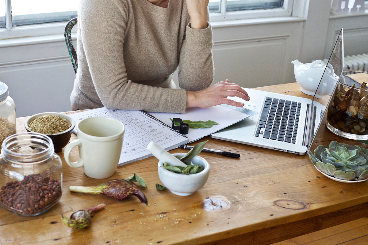 Herbalism: A History - How Herbalists Of The Past Paved The Way For Today | Herbal Academy | Have you ever wondered how modern-day herbalism came to be? Read on to discover how the history of herbalism paved the way for today.