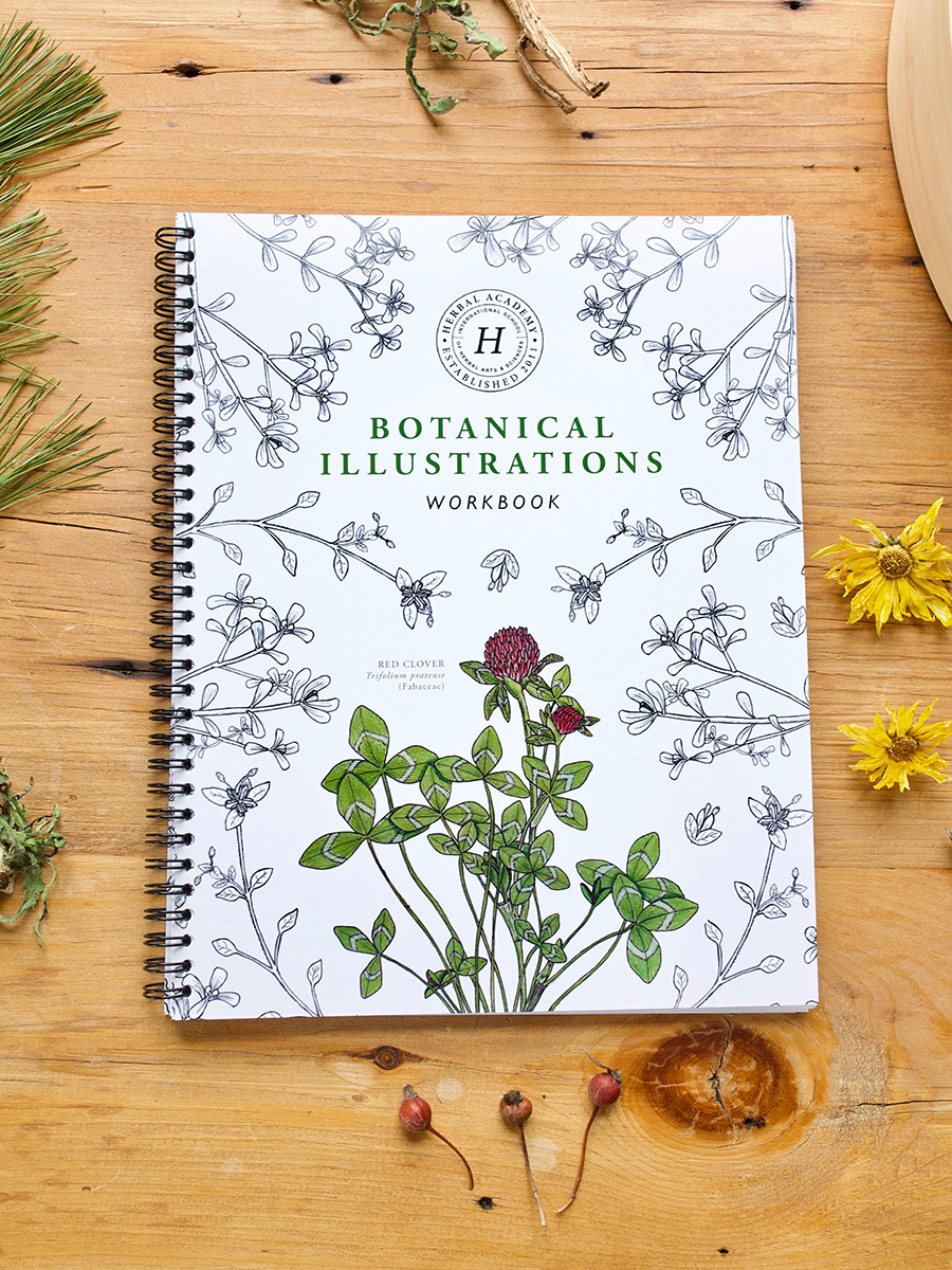 The Botanical Illustrations Workbook – Herbal Monographs and Herb Coloring Book