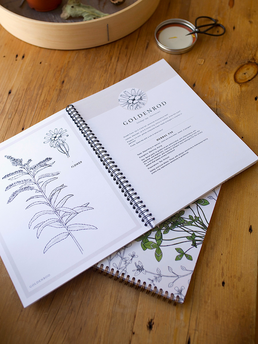 The Botanical Illustrations Workbook – Herbal Monographs and Herb Coloring Book