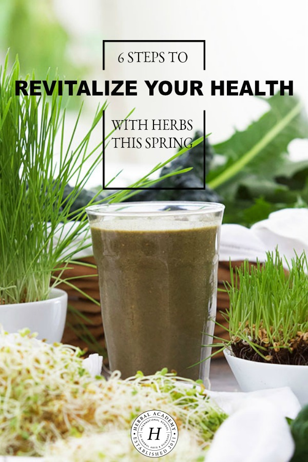 6 Steps To Revitalize Your Health With Herbs This Spring | Herbal Academy | Spring is an ideal season to start a new routine, and we have 6 steps to help you revitalize your health with herbs this spring season!