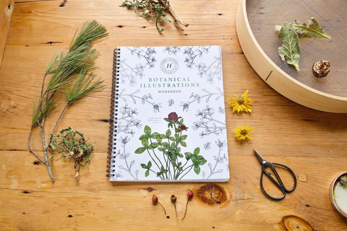 The Botanical Illustrations Workbook by Herbal Academy