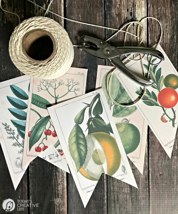 Free Botanical Thank You Card Downloads | Herbal Academy | Happy Herbalist Day! We have compiled a list of free resources to help you make this Herbalist Day (April 17th) special for the herbalists in your life!