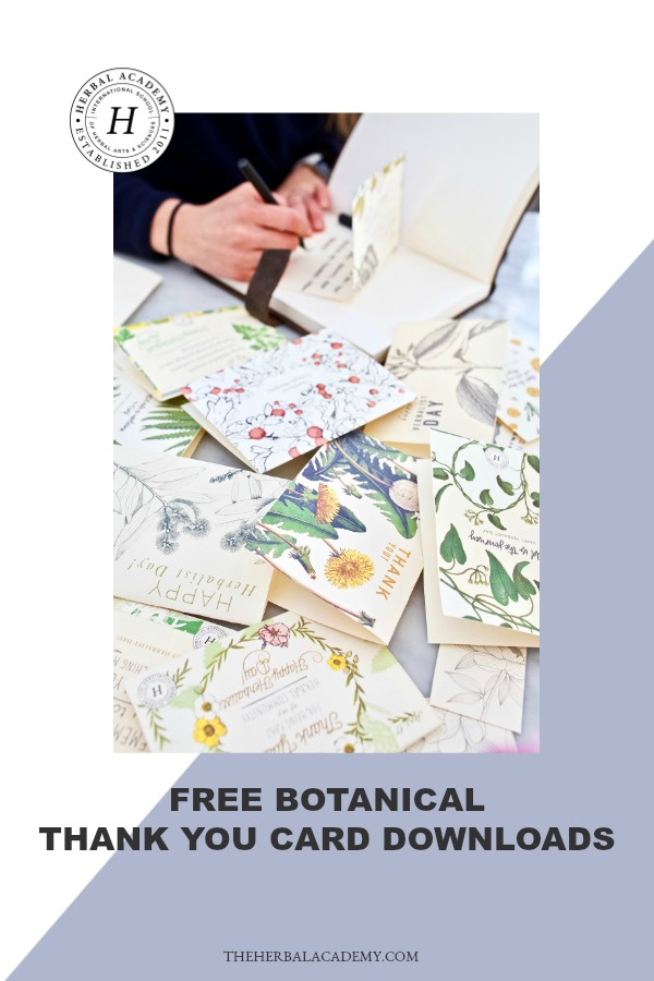 Free Botanical Thank You Card Downloads | Herbal Academy | Happy Herbalist Day! We have compiled a list of free resources to help you make this Herbalist Day (April 17th) special for the herbalists in your life!