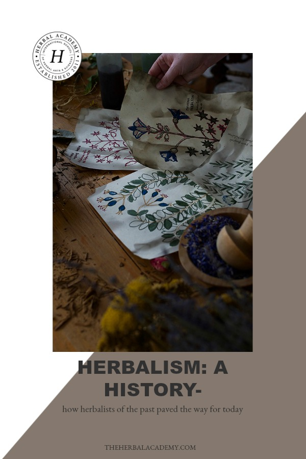 Herbalism: A History - How Herbalists Of The Past Paved The Way For Today | Herbal Academy | Have you ever wondered how modern-day herbalism came to be? Read on to discover how the history of herbalism paved the way for today.