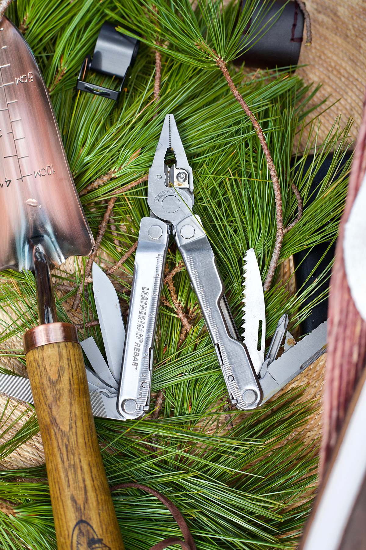 7 Essential Tools For Botany (And A Few More For Good Measure!) | Herbal Academy | Interested in studying plants and foraging? Here are some essential tools for botany to help you get started.