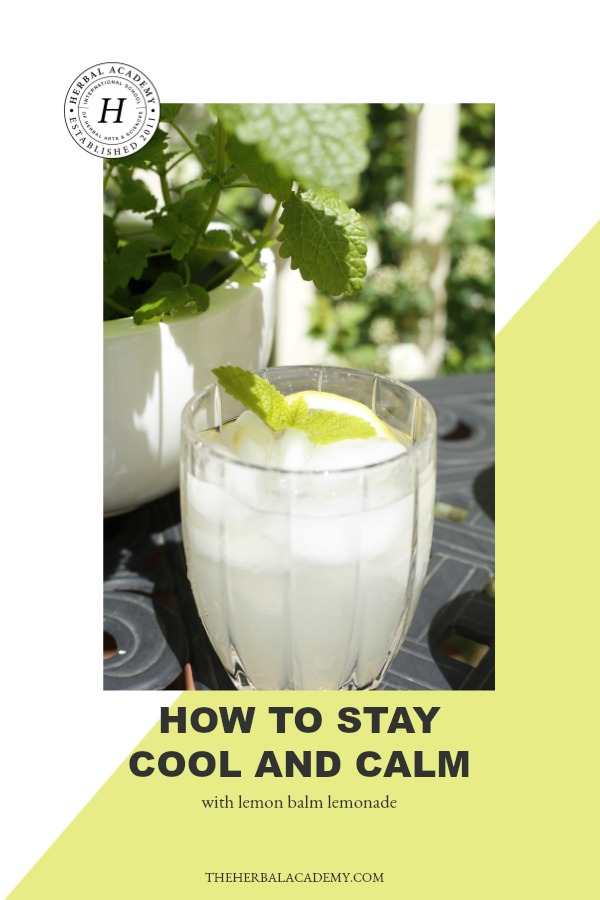 How To Stay Calm and Cool With Lemon Balm Lemonade | Herbal Academy | Are you ready for the summer heat? Stay calm, cool, and hydrated all summer long with this lemon balm lemonade recipe - an herbal twist on an old favorite! 