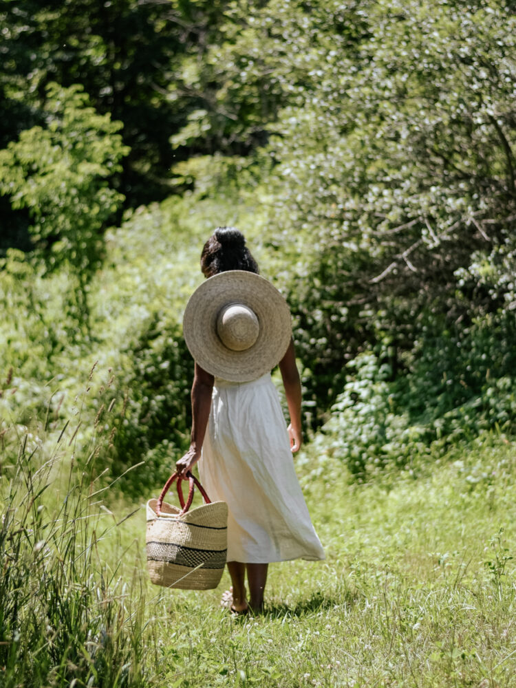 an Herbalist Mini Course Herbal Academy