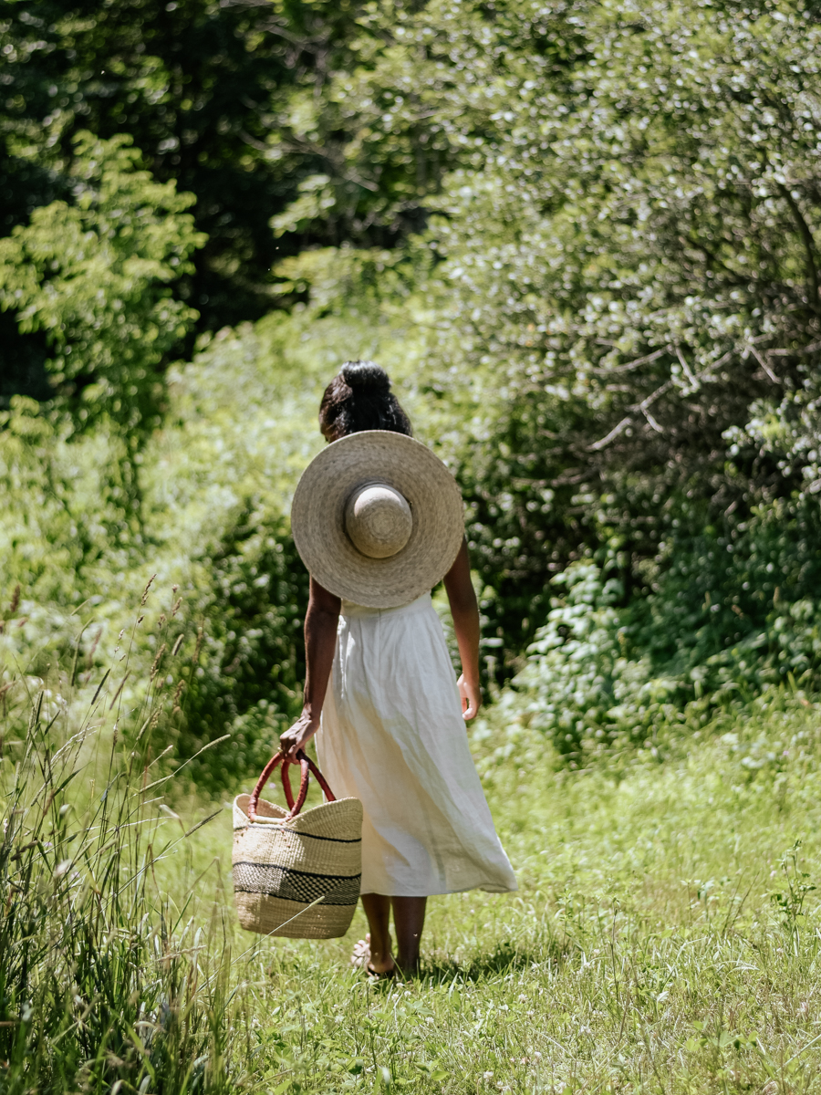 A guide to becoming an herbalist