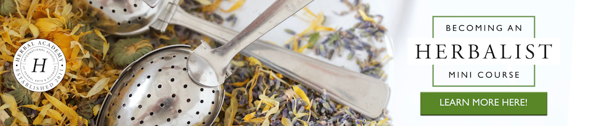 Enroll in the FREE Becoming an Herbalist Mini Course and discover your herbal path