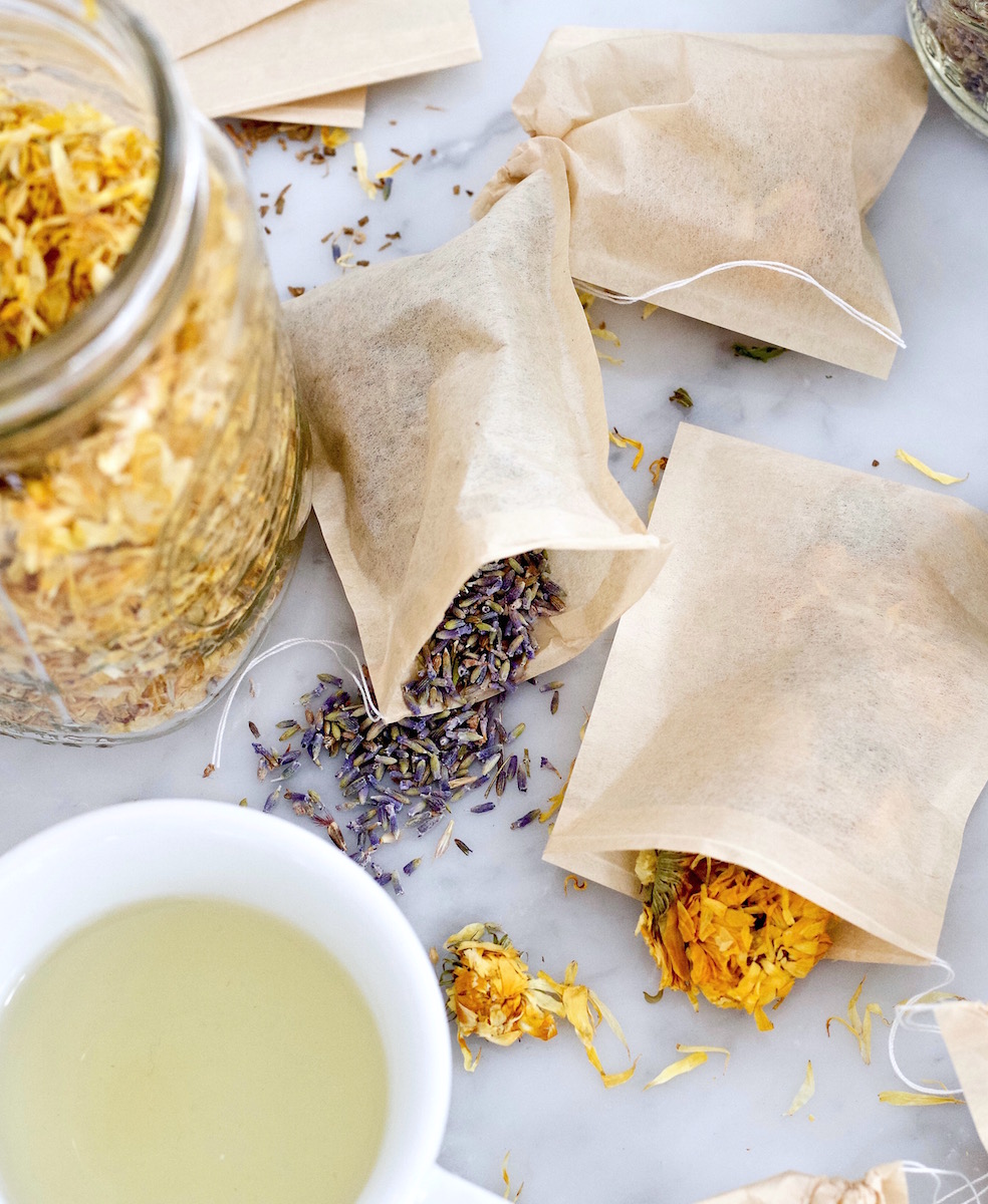 Free Ebook Download: Herbal Tea Throughout The Seasons | Herbal Academy | Whether you already have a daily tea ritual or you’re looking to start one, our newest FREE ebook will show you the way with the help of 12 tea recipes, one for every month of the year!