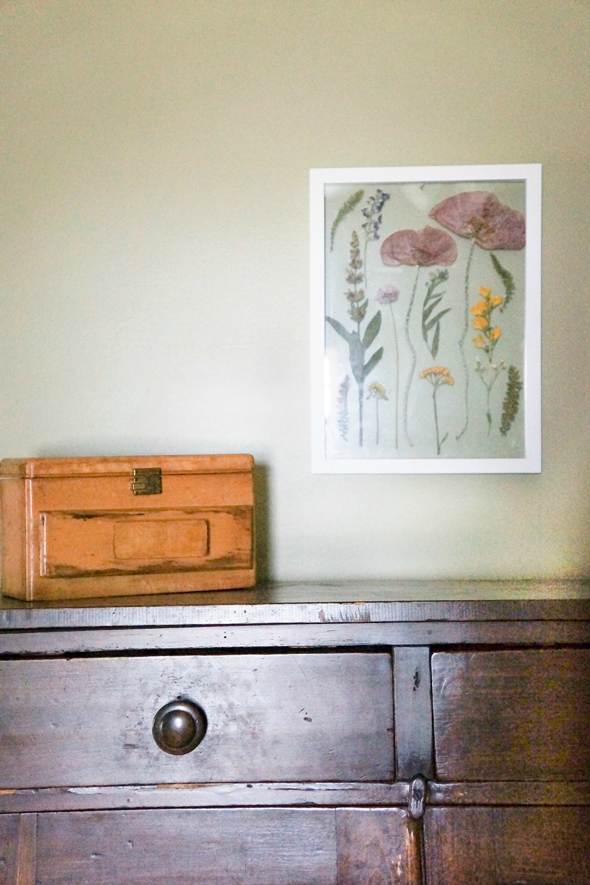 How To Make Framed Botanicals to Decorate Your Home | Herbal Academy | Bring plants into your home in a whole new way by decorating your walls with framed botanicals. Get the steps and details here.