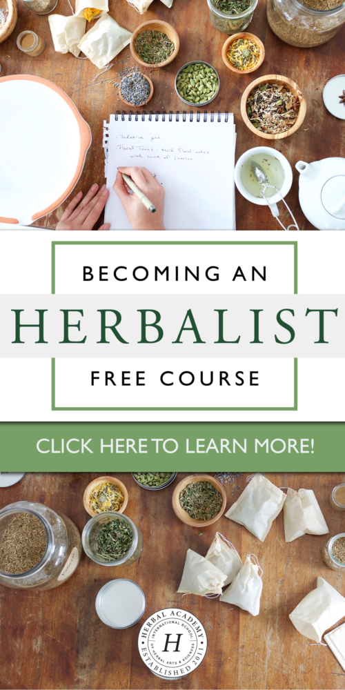 What You Need To Know About Becoming An Herbalist