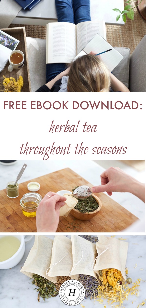 Free Ebook Download: Herbal Tea Throughout The Seasons | Herbal Academy | Whether you already have a daily tea ritual or you’re looking to start one, our newest FREE ebook will show you the way with the help of 12 tea recipes, one for every month of the year!