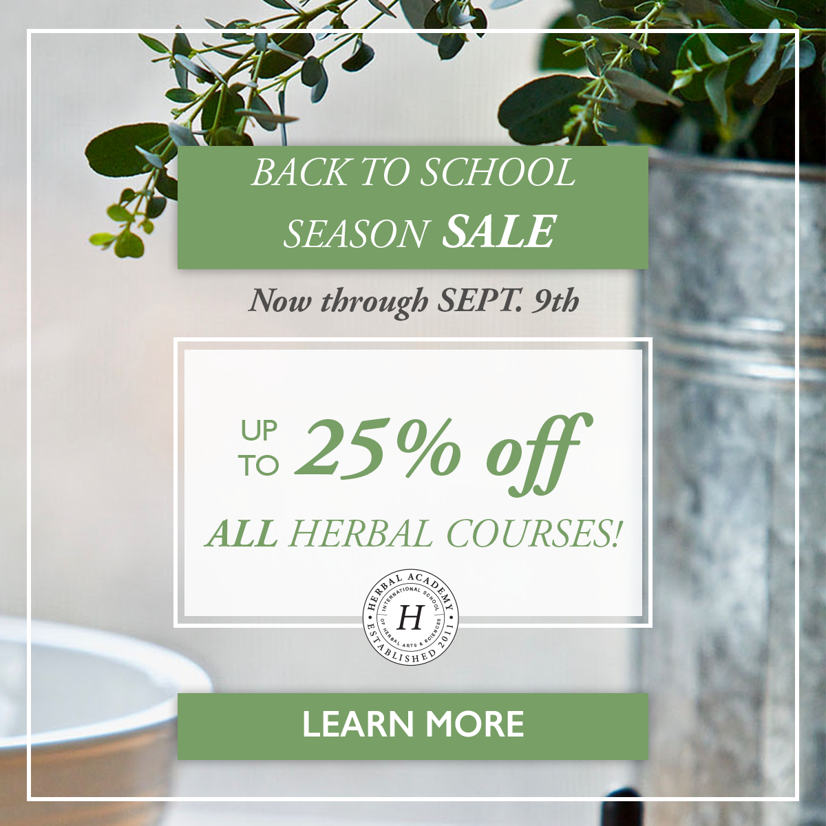 8 Of Your Most Frequently Asked Herbal Questions, Answered | Herbal Academy | It’s Back to School season here at the Academy, and we’re answering some of your most FAQ in this Q&A post!