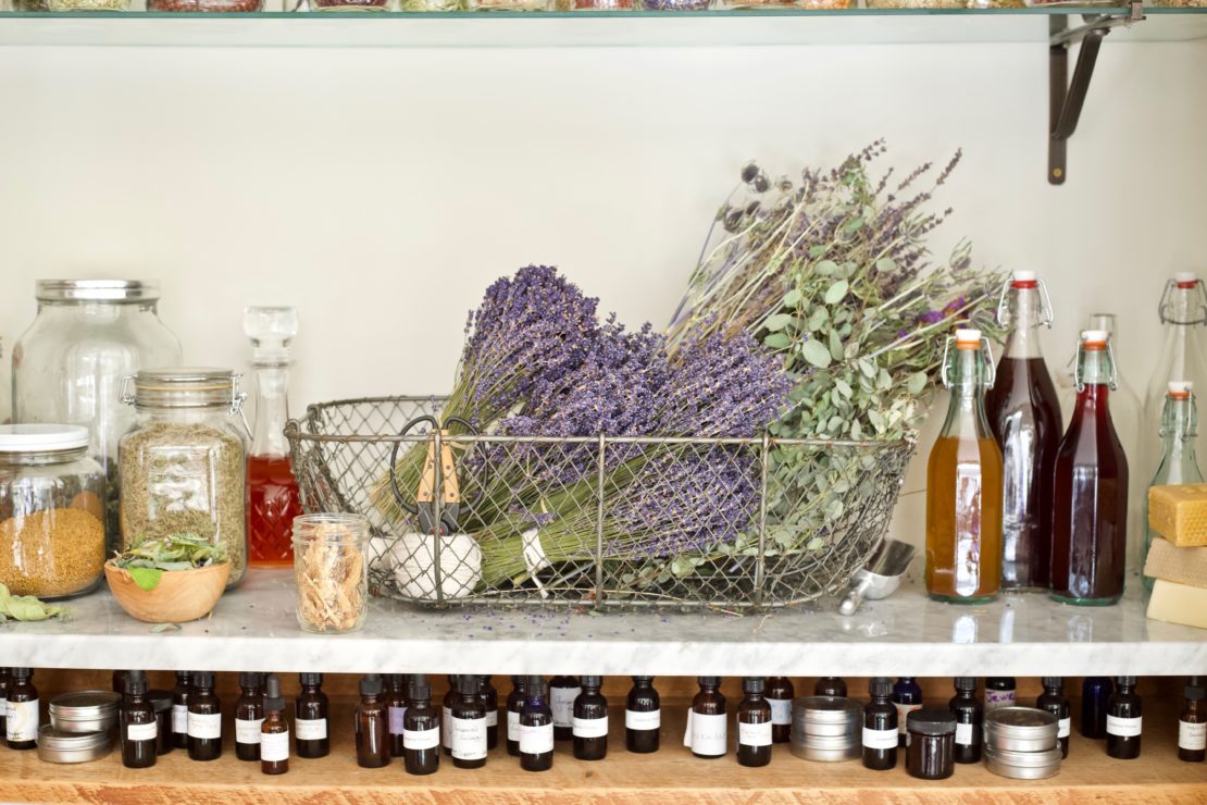 What Every Herbalist Should Know About Herbal Preparation Shelf-Life | Herbal Academy | Ever wondered if an herbal preparation from the back of your cabinet was still effective? Learn all about herbal preparation shelf-life in today's post.