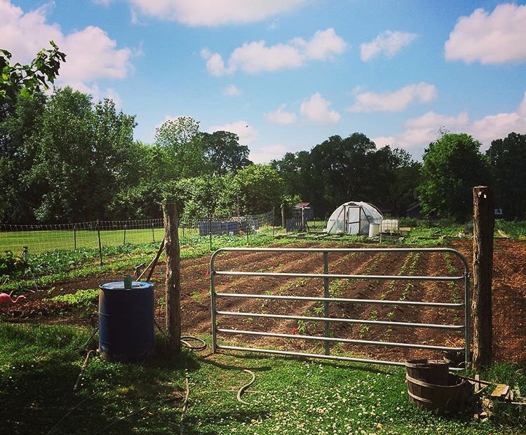 Urban Farming in Nashville, Tennessee: A Family Lineage | Herbal Academy | We fancy farmers, and we know you do too. Learn how one Nashville farmer is using urban farming to inspire others in healthy living while continuing her family legacy.