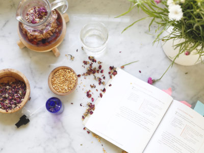 5 Herbal Lifestyle Books To Read This Year | Herbal Academy | If incorporating herbalism into your lifestyle is appealing to you, here are 5 of our favorite herbal lifestyle books to help you get started!