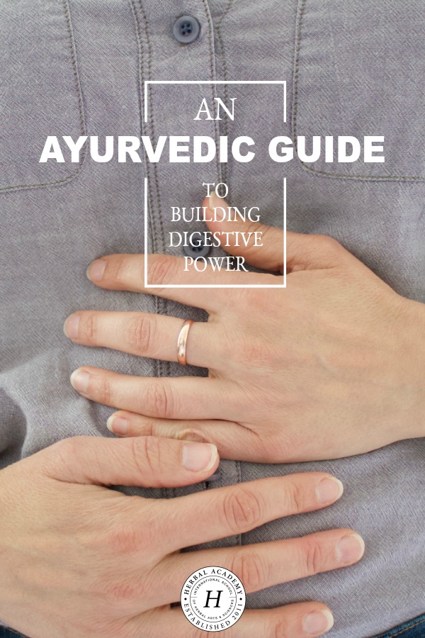 An Ayurvedic Guide to Building Digestive Power | Herbal Academy | Come join us as we explore Ayurvedic methods for improving digestive health naturally, and ultimately, building digestive power.