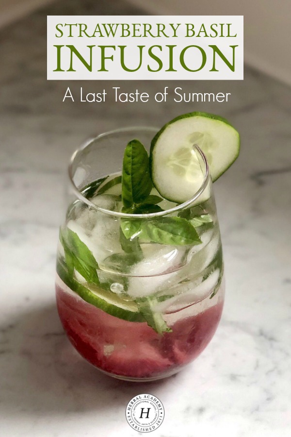 Strawberry Basil Infusion: A Last Taste of Summer | Herbal Academy | Enjoy the last taste of summer with this delicious and simple Strawberry Basil Infusion. It's a perfect fit for those final days of summer!