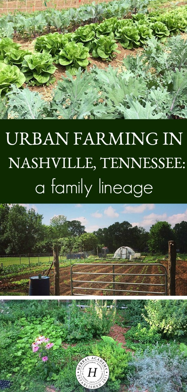Urban Farming in Nashville, Tennessee: A Family Lineage | Herbal Academy | We fancy farmers, and we know you do too. Learn how one Nashville farmer is using urban farming to inspire others in healthy living while continuing her family legacy.
