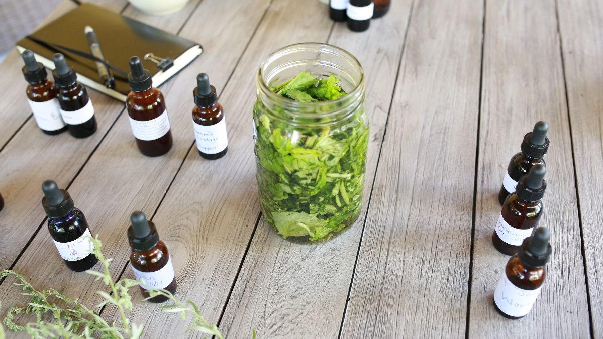 This Versus That: How To Choose The Best Herbal Preparation For Your Needs | Herbal Academy | Learn to choose the best herbal preparation for your needs by understanding and applying key distinguishing factors of preparations to your situation.