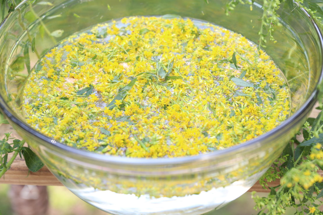 How to Make A Homemade Flower Essence Herbal Academy