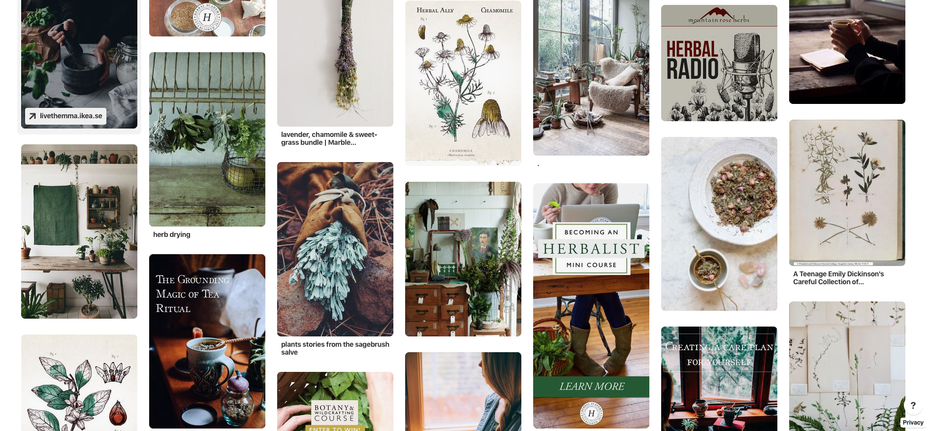 6 Herbal Vision Boards To Inspire Your Herbal Journey | Herbal Academy | If you're struggling to find who you are as an herbalist, here are six herbal vision boards to inspire you in finding your herbal identity and future goals.