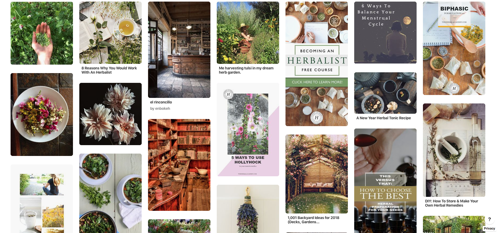 6 Herbal Vision Boards To Inspire Your Herbal Journey | Herbal Academy | If you're struggling to find who you are as an herbalist, here are six herbal vision boards to inspire you in finding your herbal identity and future goals.