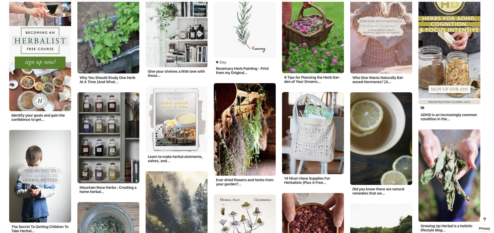 6 Herbal Vision Boards To Inspire Your Herbal Journey | Herbal Academy | If you're struggling to find who you are as an herbalist, here are six herbal vision boards to inspire you in finding your herbal identity and future goals.