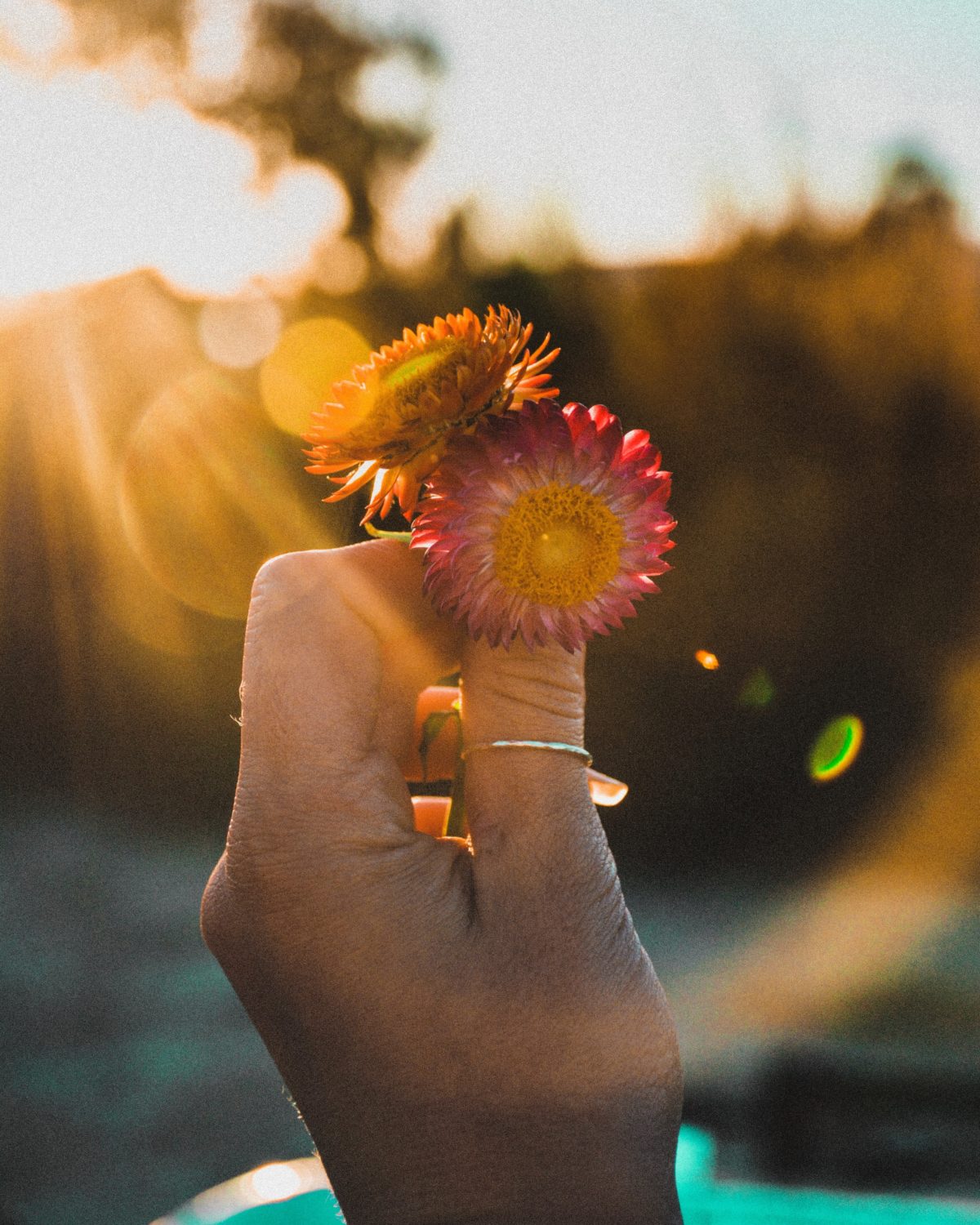 10 Simple Vitalist Practices To Support Well-Being | Herbal Academy | The main tenant of Vitalist herbalism is to remove obstacles to wellness. Here are 10 simple Vitalist practices that can positively impact one’s well-being.