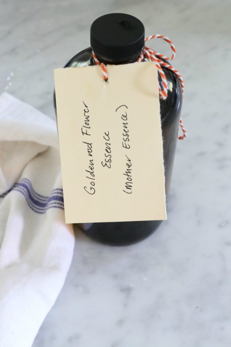 How to Make A Homemade Flower Essence Herbal Academy