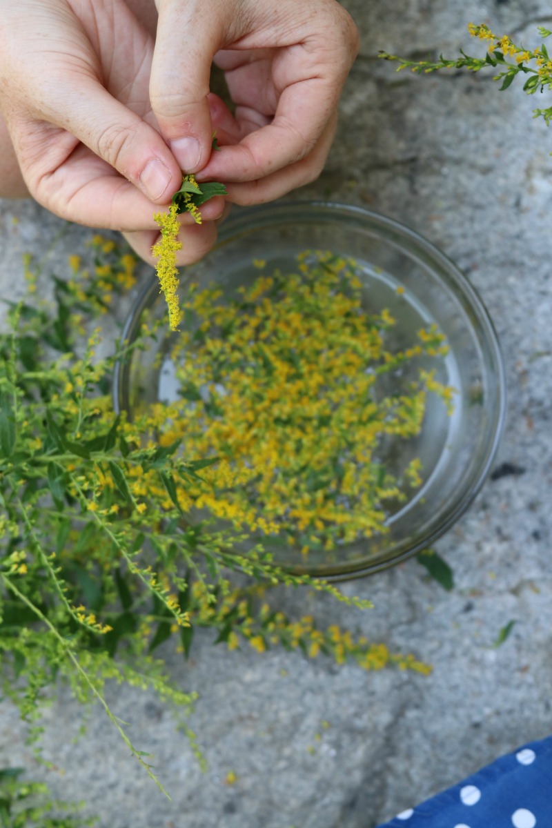 How To Make A Homemade Flower Essence | Herbal Academy | Here's a step-by-step guide on how to make your own homemade flower essences this year!