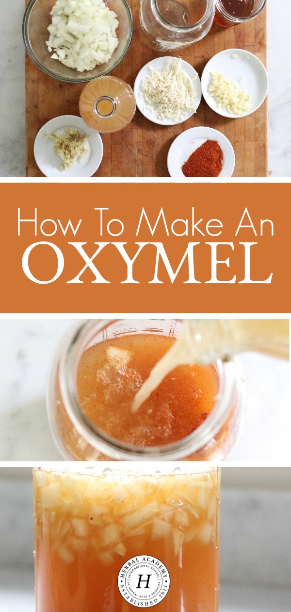 How To Make An Oxymel | Herbal Academy | A classic but often overlooked herbal preparation, oxymels have been used for ages and are a tasty and simple herbal preparation to make.