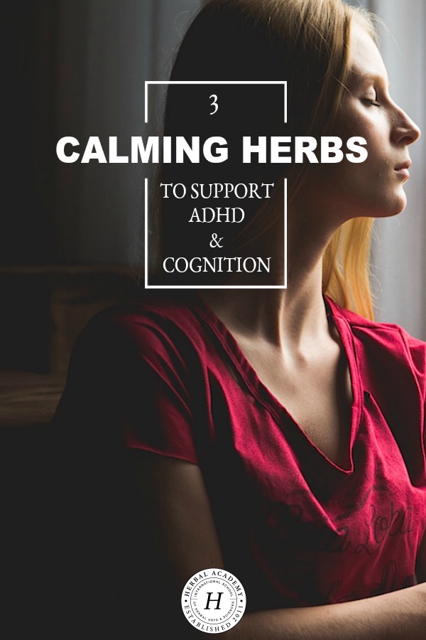 3 Calming Herbs to Support ADHD & Cognition | Herbal Academy | Whether you struggle with ADHD or it's a family member or a client, here are three calming herbs to support ADHD & cognition.