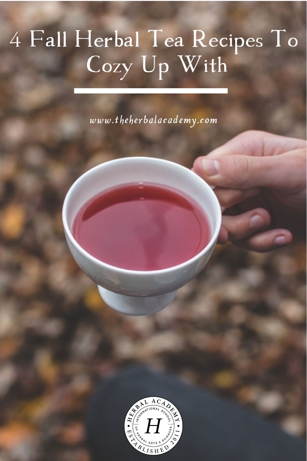 4 Fall Herbal Tea Recipes To Cozy Up With | Herbal Academy | In this article, we're sharing four flavorful fall herbal tea recipes to cozy up with during the cooler months of the year.