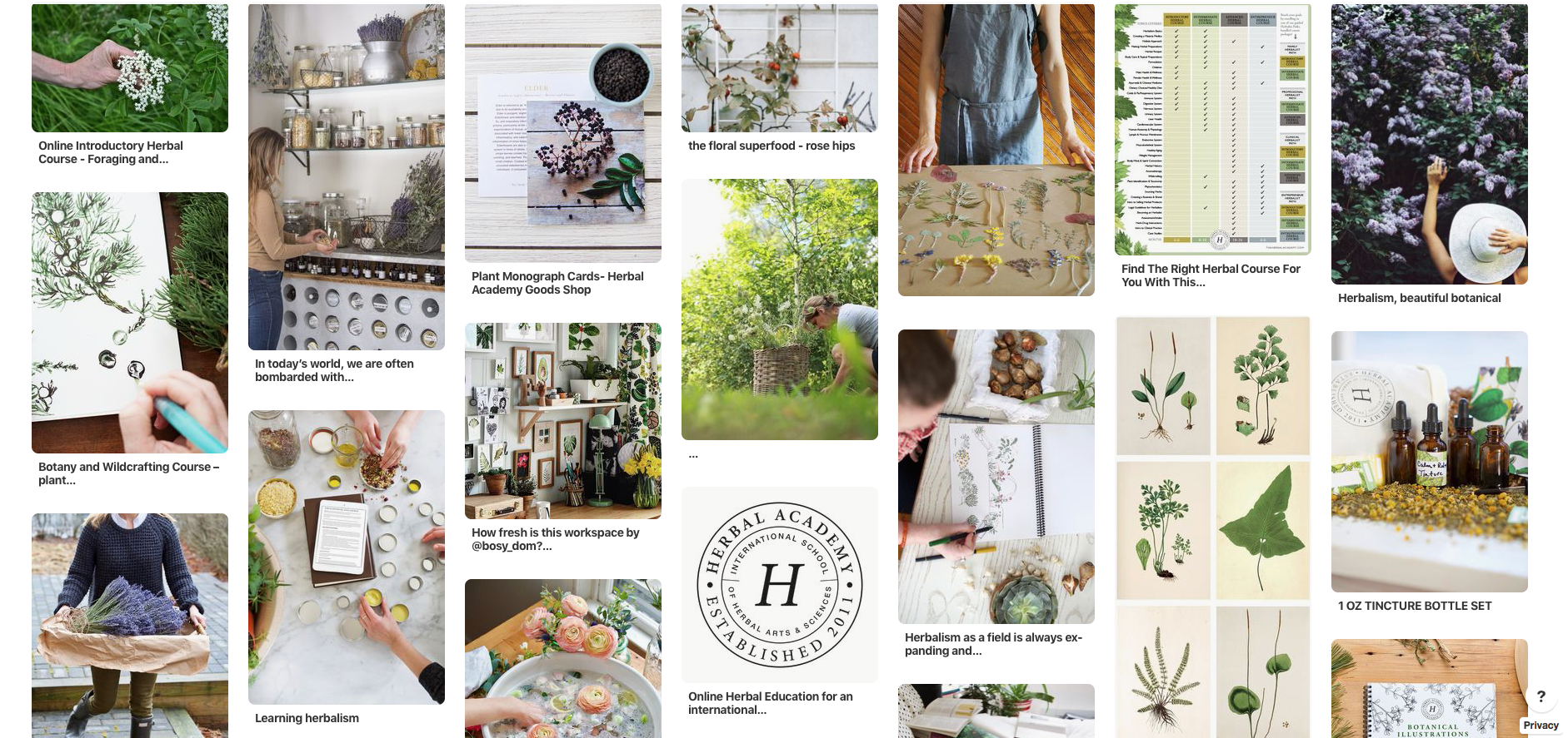 6 Herbal Vision Boards To Inspire Your Herbal Journey | Herbal Academy | If you're struggling to find who you are as an herbalist, here are six herbal vision boards to inspire you in finding your herbal identity and future goals.