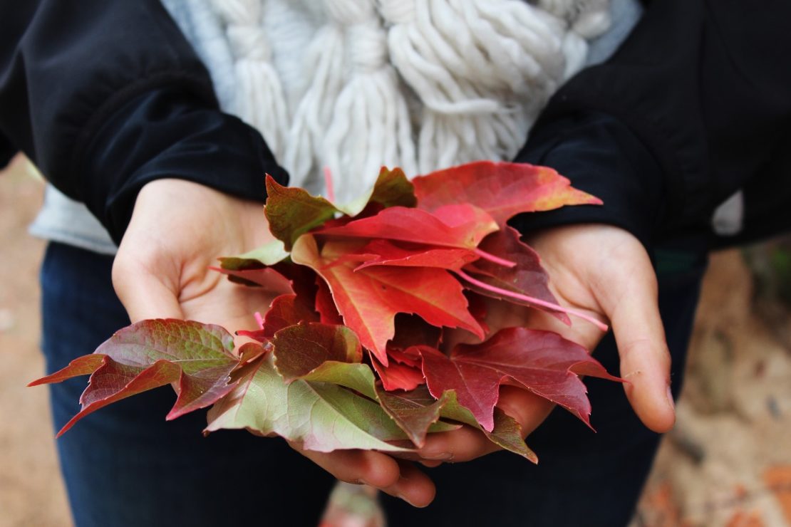 3 Tips on Managing Vata Dosha During Autumn | Herbal Academy | As fall approaches, here are three tips that those with a predominant vata dosha can follow to maintain balance.