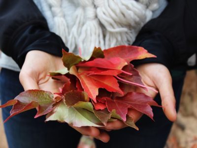 3 Tips on Managing Vata Dosha During Autumn | Herbal Academy | As fall approaches, here are three tips that those with a predominant vata dosha can follow to maintain balance.
