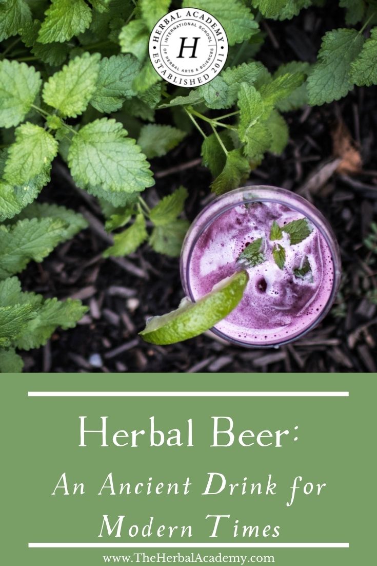 Herbal Beer: An Ancient Drink for Modern Times | Herbal Academy | In this post, we are sharing how to make a refreshing brew of herbal beer, as well as its use in history and its benefits in modern times!