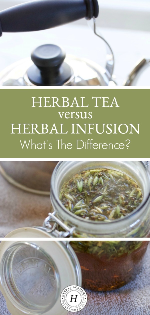 Herbal Tea or Herbal Infusion: What's the Difference? | Herbal Academy | When should you use an herbal tea or herbal infusion? What's the difference? While the two are mostly similar, there are a couple of differences to note.