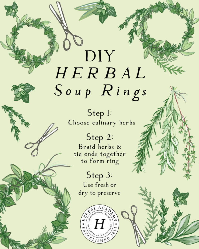 How To Make DIY Herbal Soup Rings | Herbal Academy | Take your water-based foods to the next level by using these herbal soup rings to amp up the flavor and nutritional benefits! Learn to make them in this post.