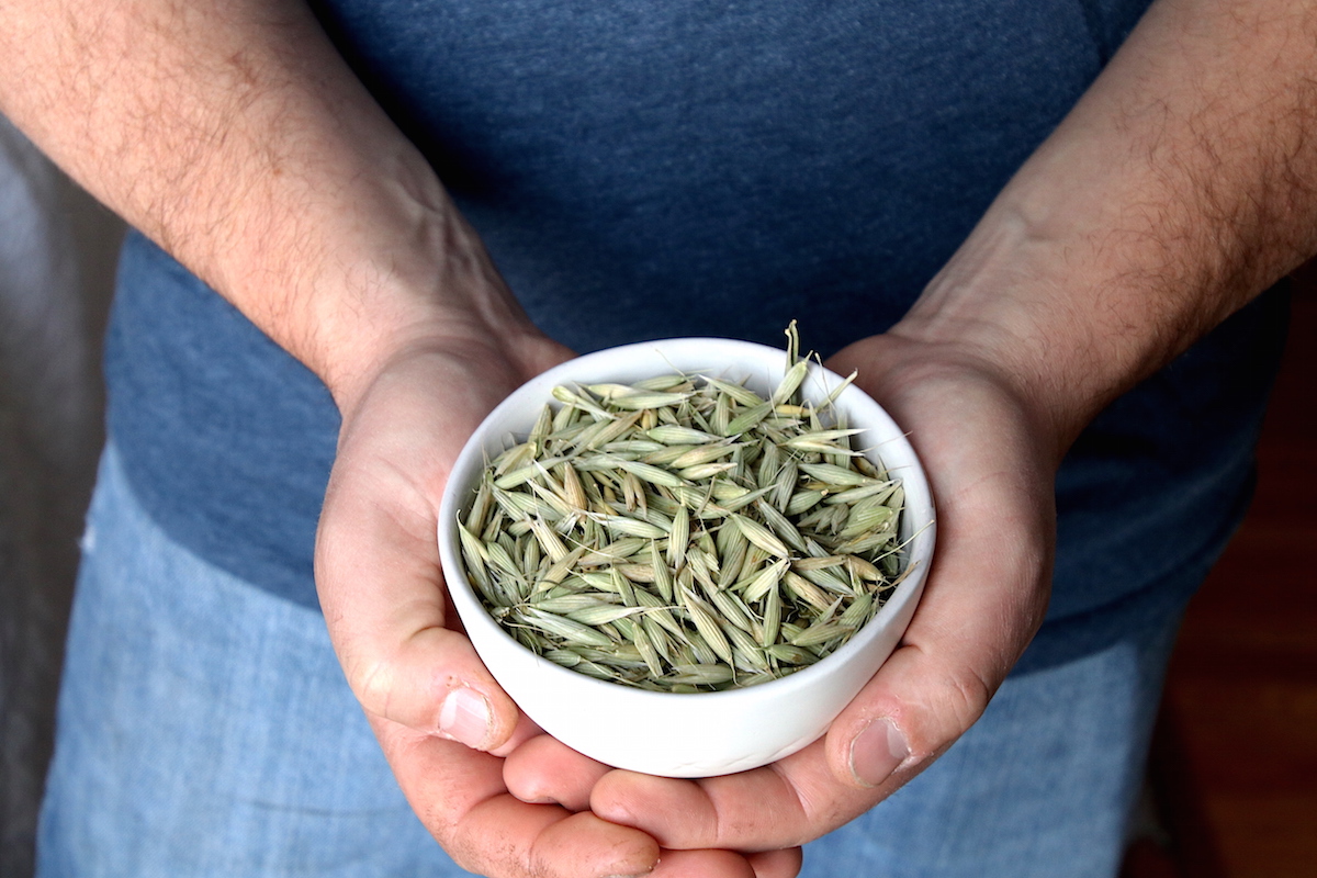 Calming Tea Recipe & Natural Stress Management (With Video!) | The Herbal Academy | Simple lifestyle practices to go-to formulas, like our Calming Tea Recipe, can help us better manage and cope with stress naturally.