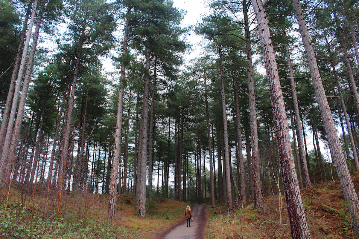 woman walking on a path through the woods