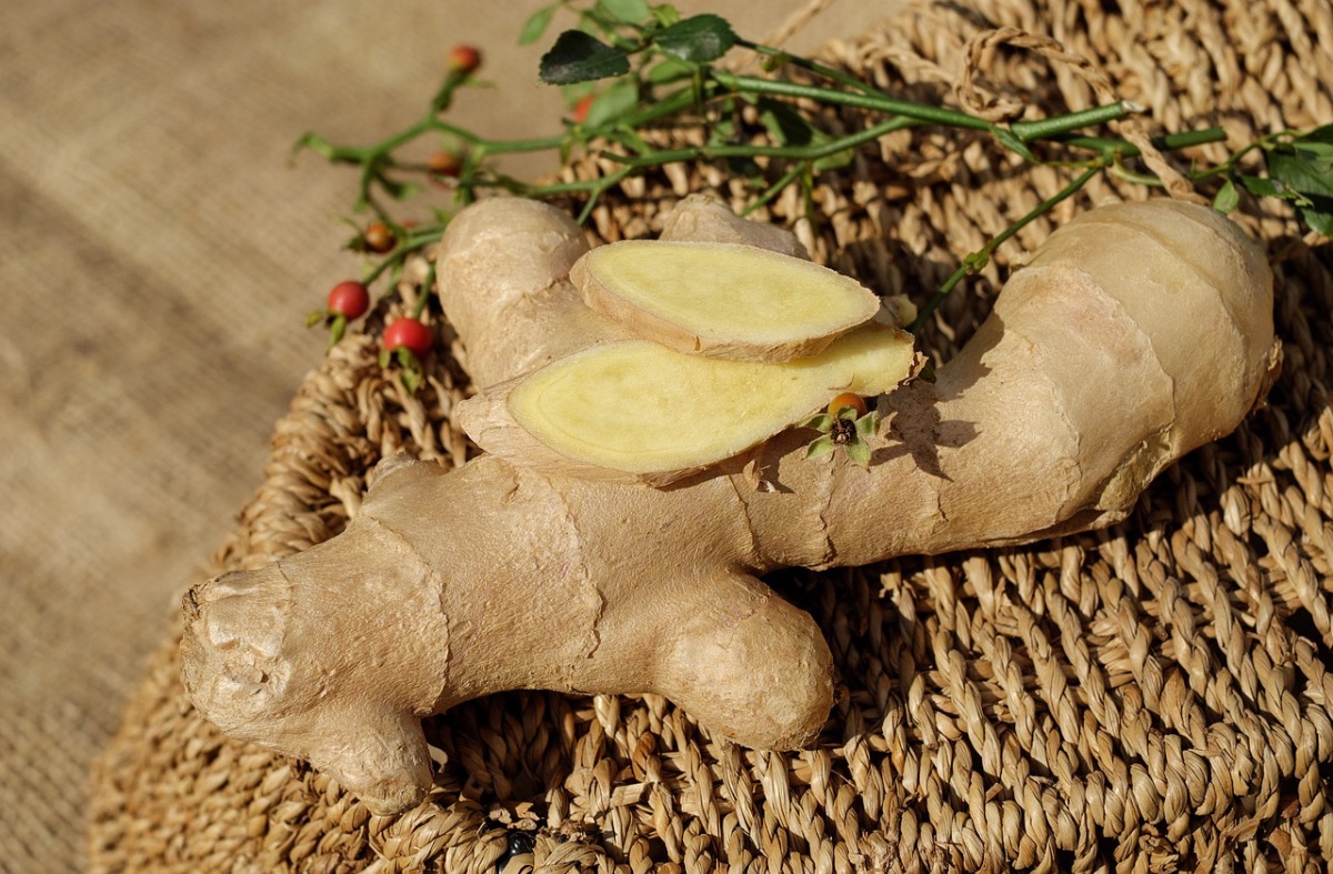 Herbal Roots 101: How to Prepare and Use Roots for Wellness | Herbal Academy | Use herbal roots for wellness! In this post, you'll learn when to harvest roots, how to prepare them for use, and you'll even find several recipes to try.